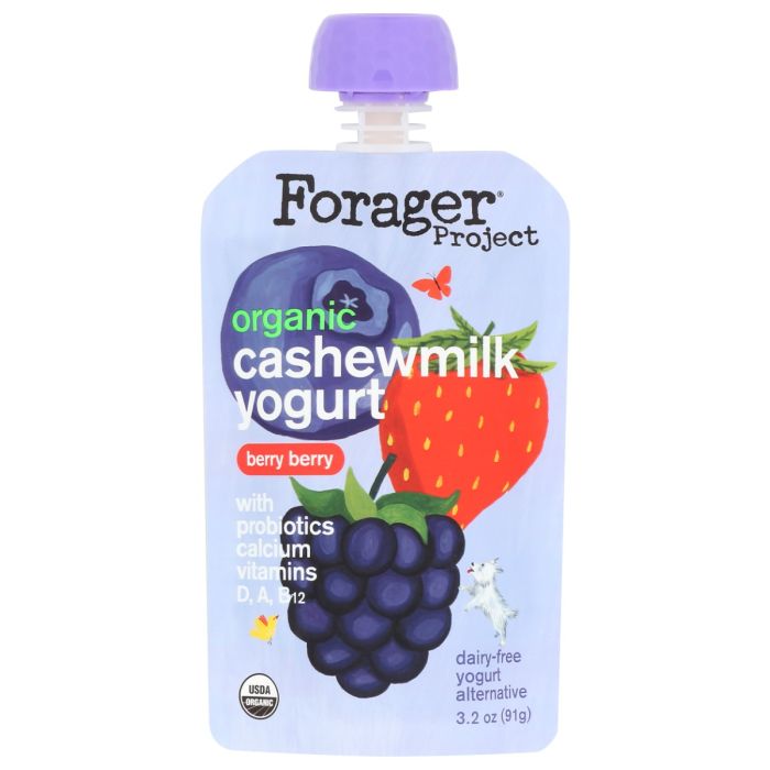 FORAGER PROJECT: Organic Bery Bery Kids Cashewmilk Yogurt, 3.2 oz