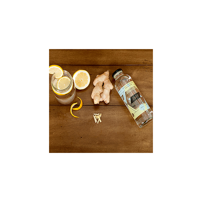 SWAY WATER: Water Lemon Ginger, 12 fo