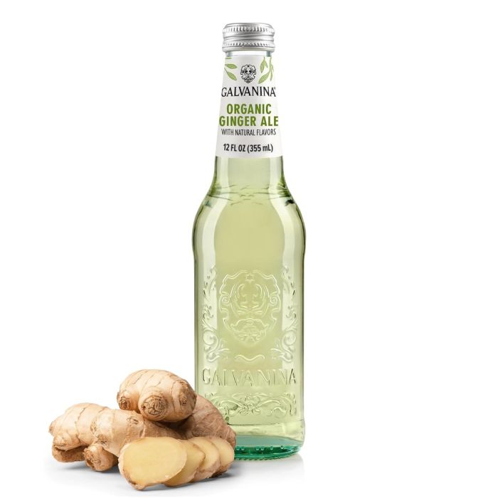 GALVANINA: Organic Ginger Ale, 12 fo