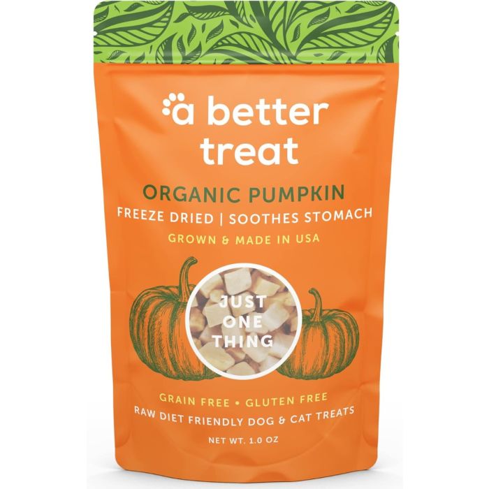 A BETTER TREAT: Freeze Dried Raw Organic Pumpkin Dog and Cat Treats, 3 oz