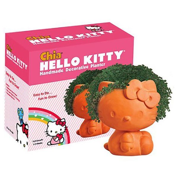 CH-CH-CH-CHIA: Chia Pet Hello Kitty, 1 ea