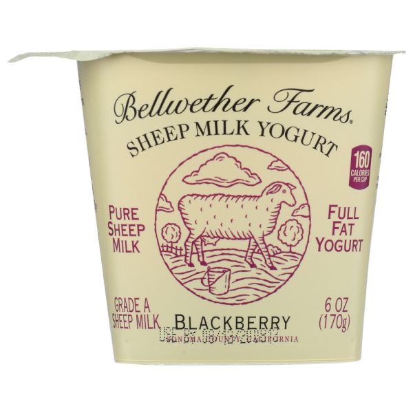 BELLWETHER FARMS: Sheep Milk Yogurt Blackberry, 6 oz