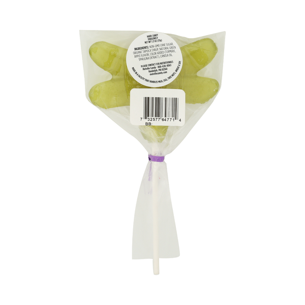 MELVILLE: Lollipop Spring Critters, 1 ea