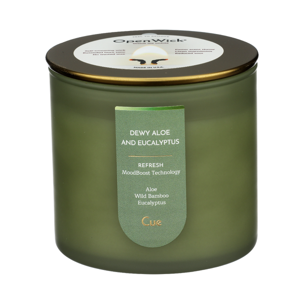 CUE: Aloe and Eucalyptus Candle, 14 oz