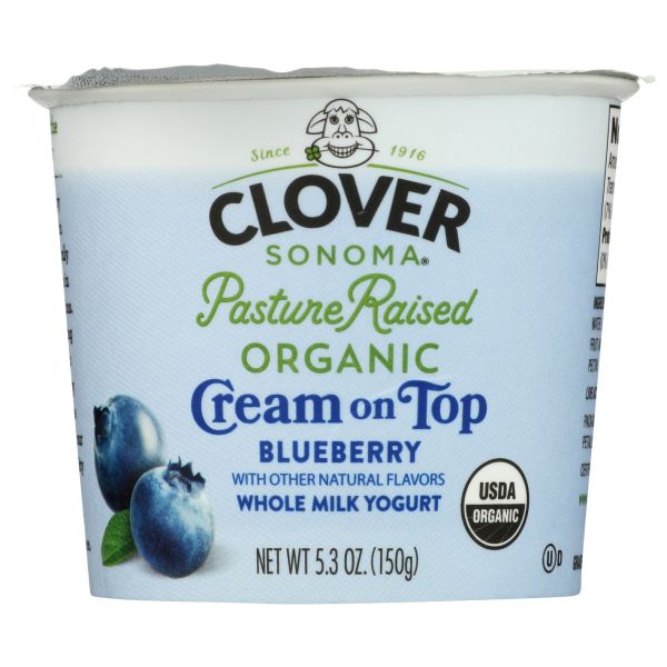 CLOVER SONOMA: Yogurt Cream on Top Blueberry, 6 oz