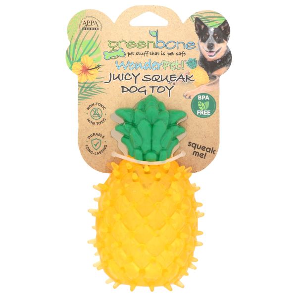 GREENBONE: Pineapple Pet Toy, 1 ea